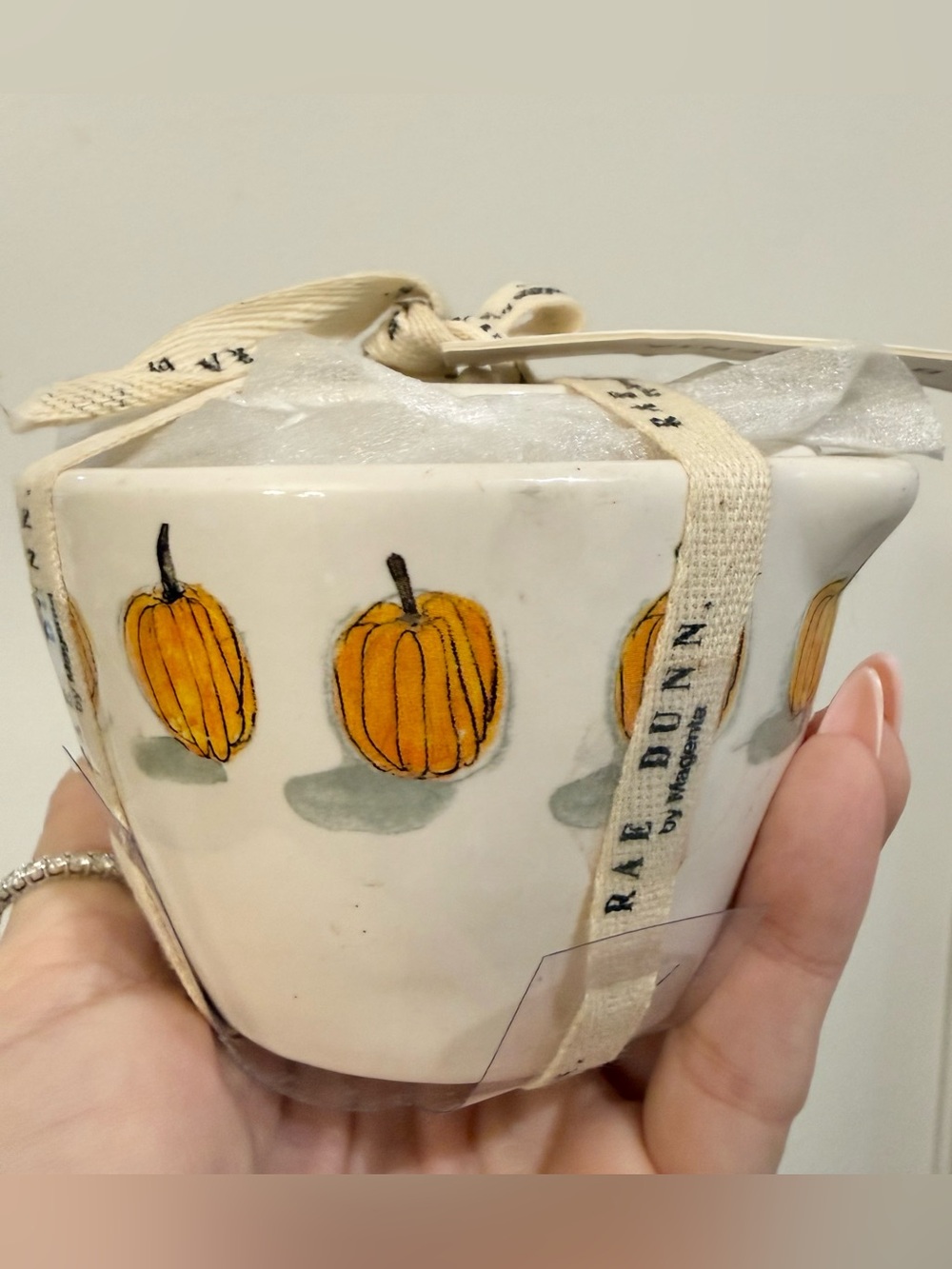 Rae Dunn Pumpkin Ceramic Measuring Cups Halloween Decor